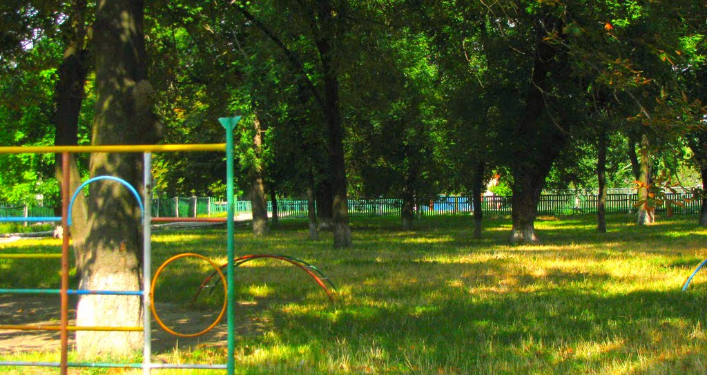 роща в детсаду