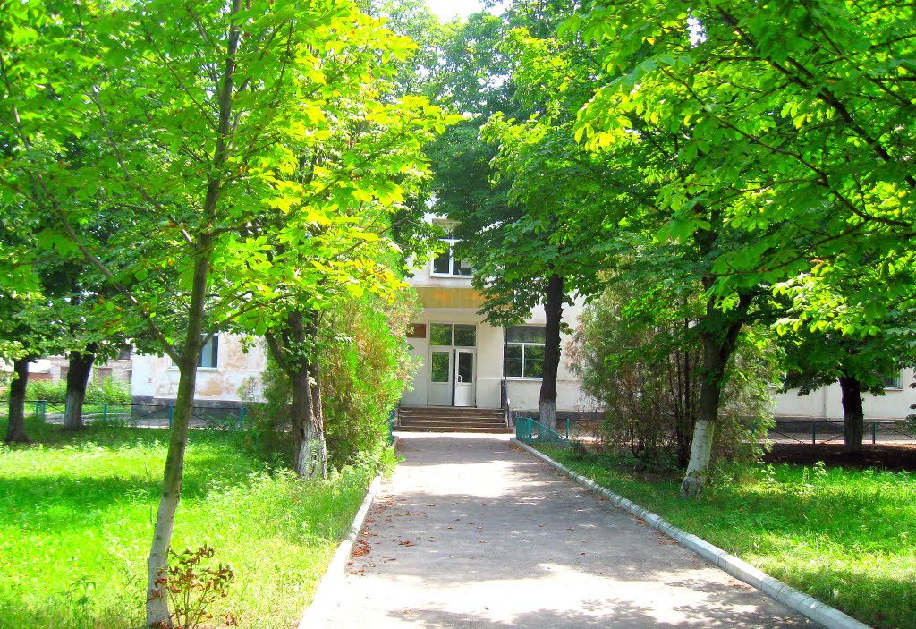 родная 2-я школа