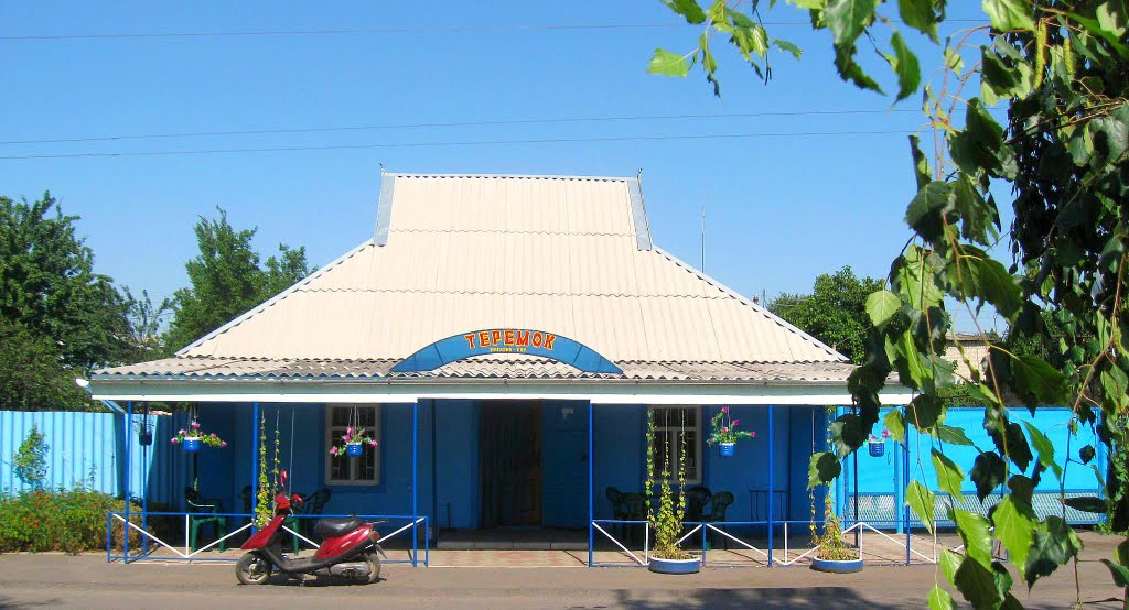 магазин Теремок (лето 2010)