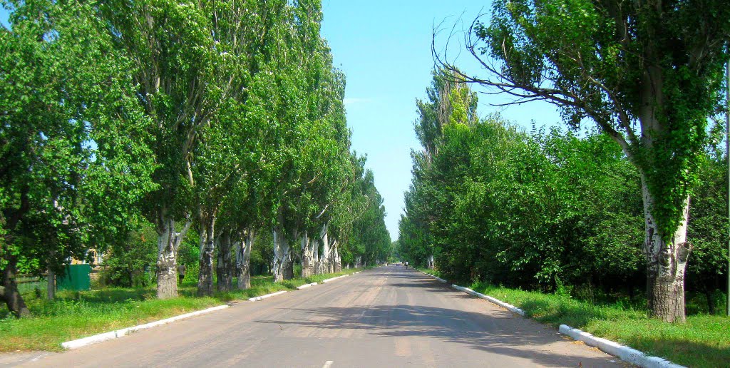 улица Интернациональная
