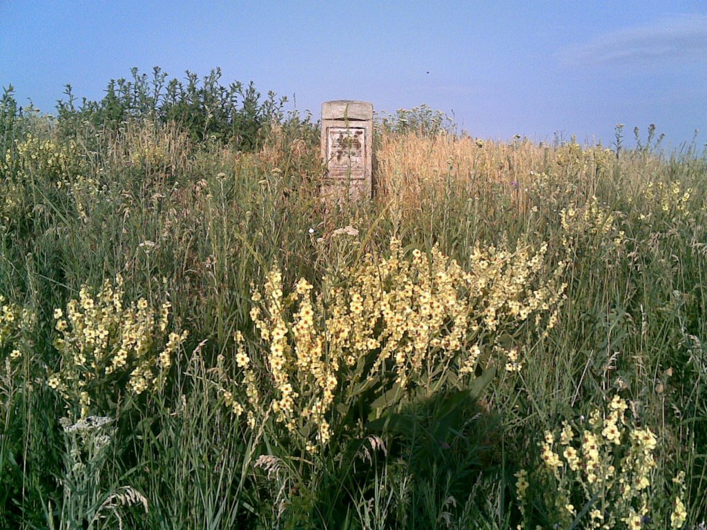 Курган