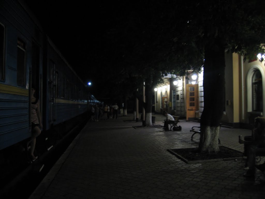 Станция Волноваха 03.07.2008