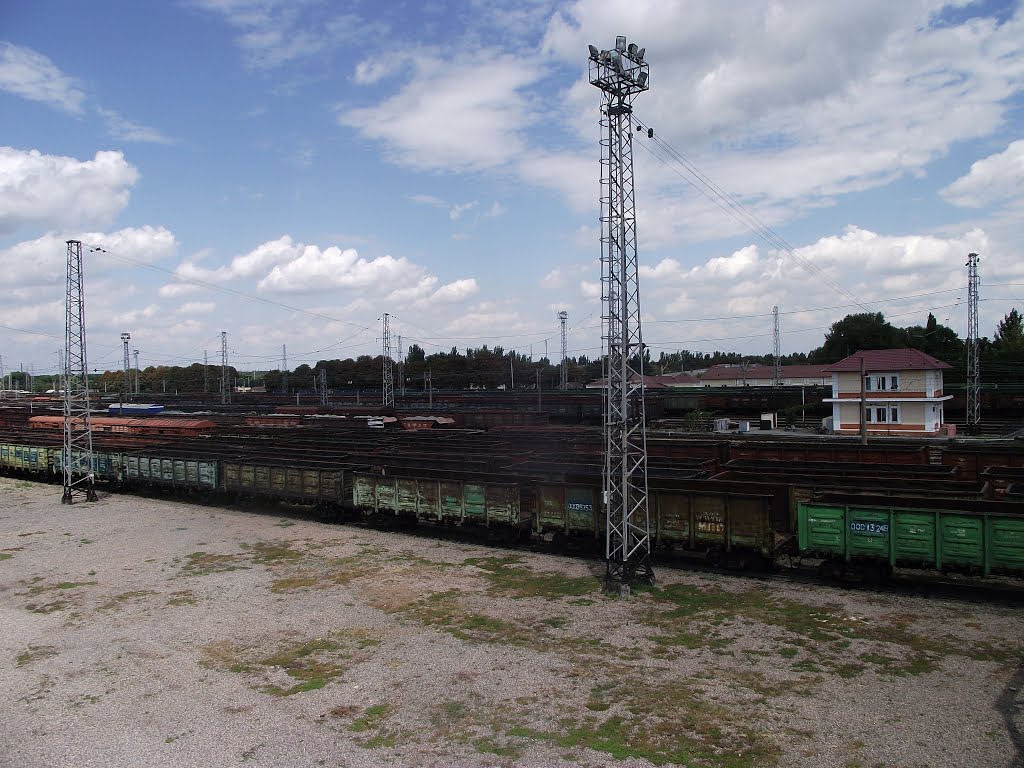 вид на станцию с моста