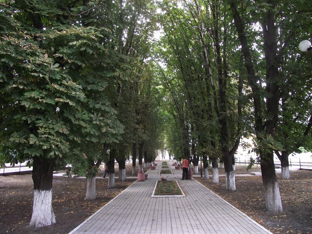 привокзальная аллея