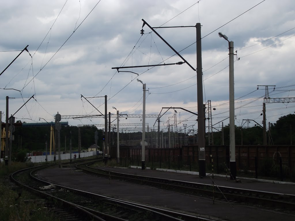 на горбу
