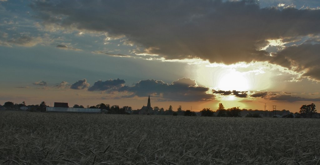 Chirch of UKraine