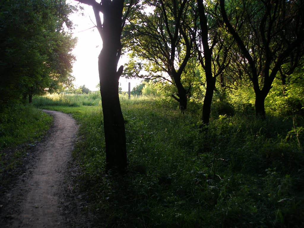 В Грековом Саду
