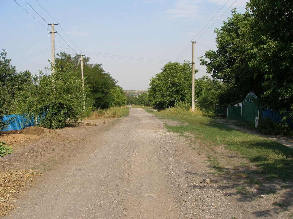 Улица Раздольная