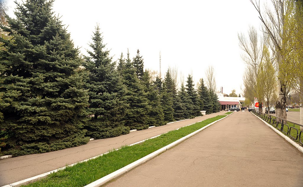 Ленинский проспект