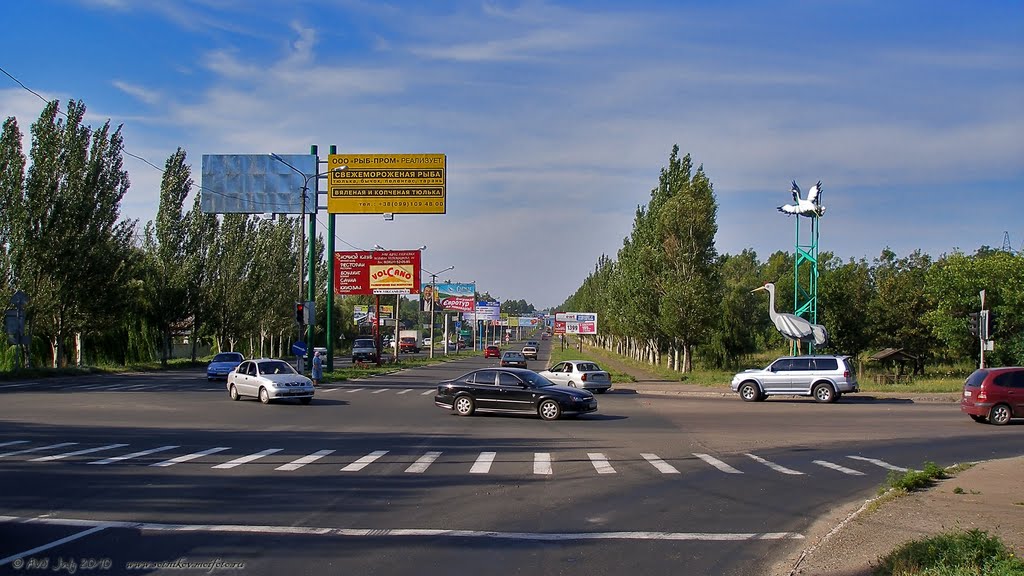 аисты