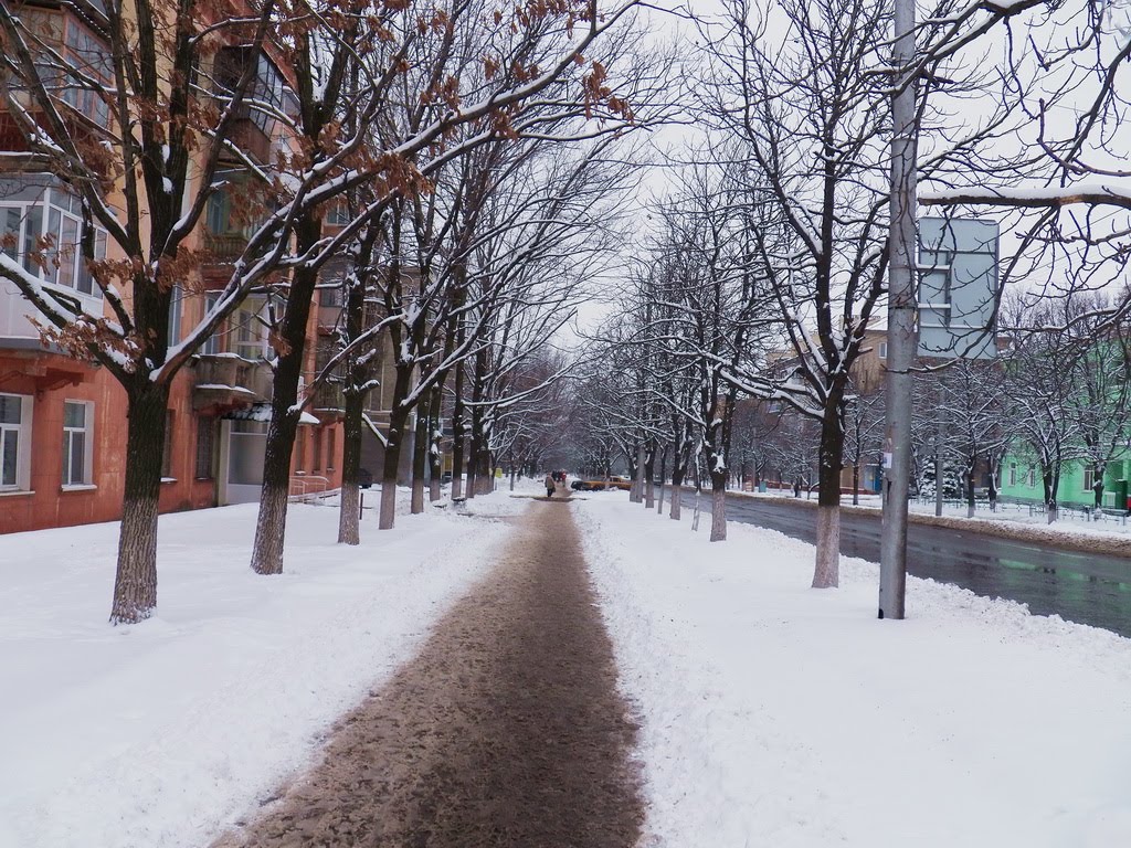 Горловка зимой