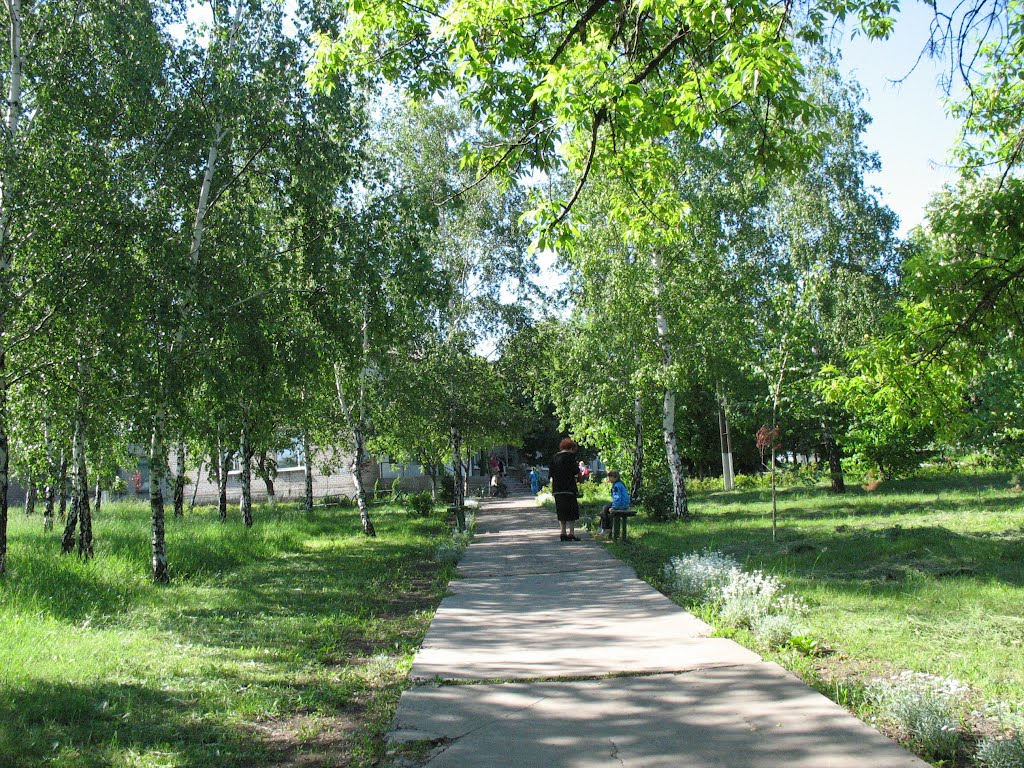 Аллея к школе