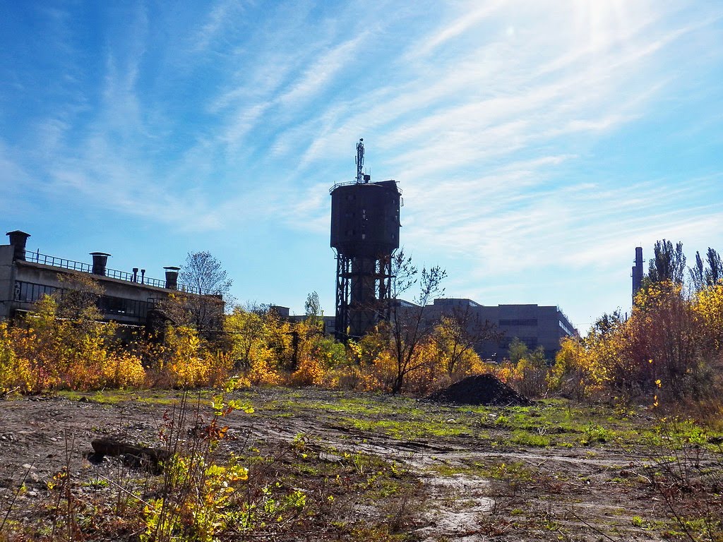 На ДЗМО