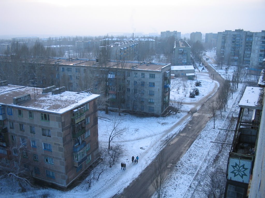 Вид с крыши дома №11 ул.50 лет ВЛКСМ