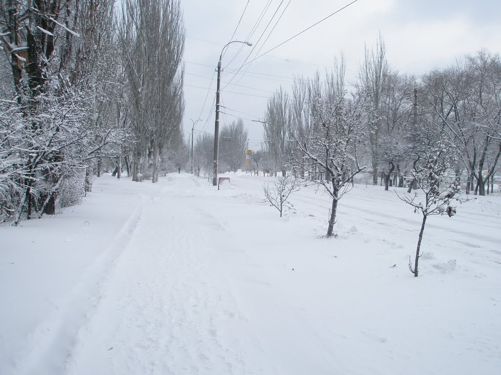 Зима 2011
