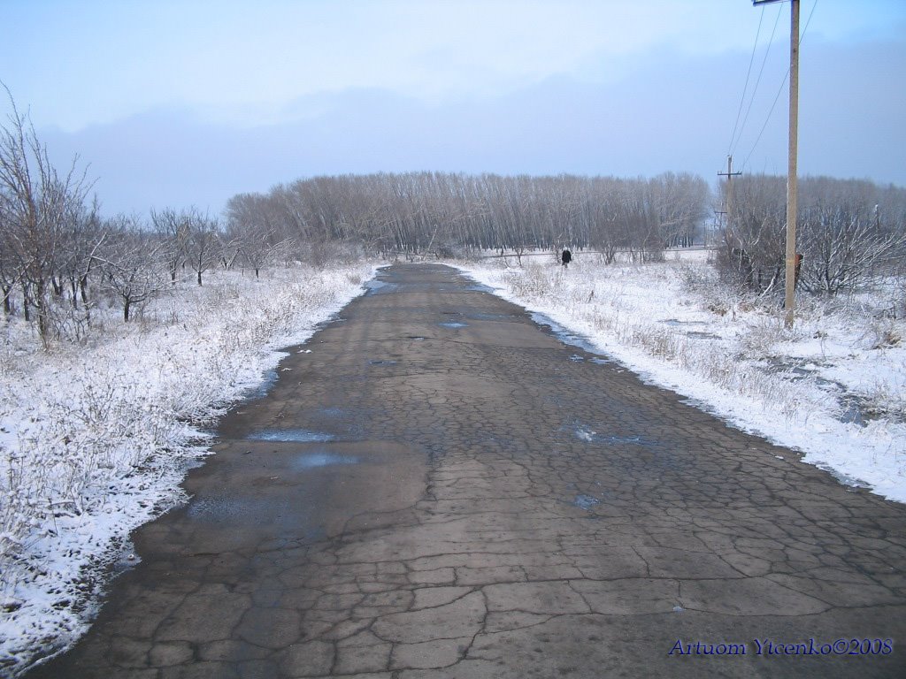 Дорога к роднику