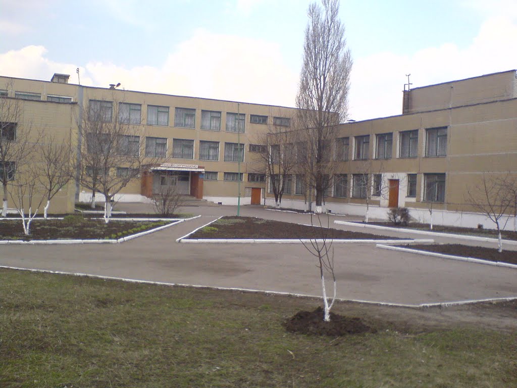 Гимназия 2008