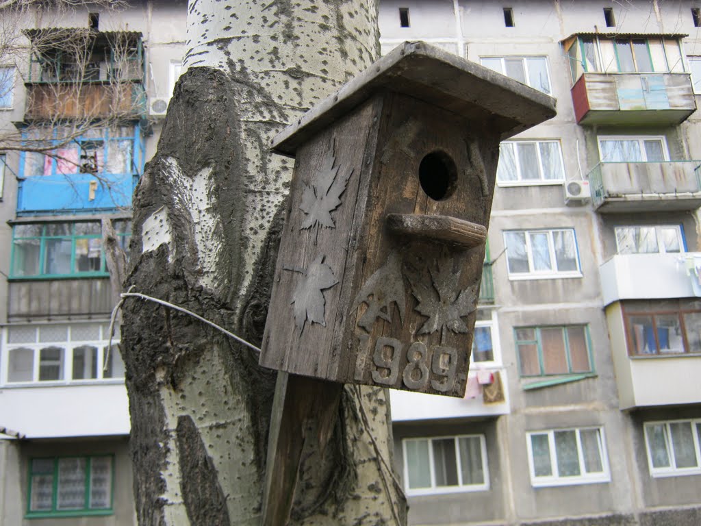 скворечник