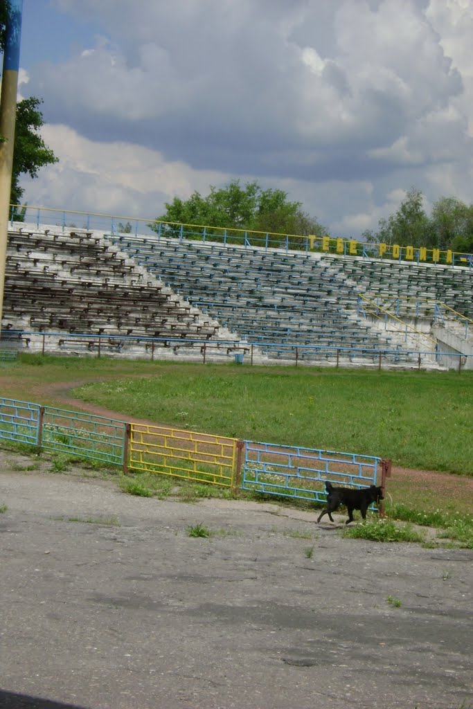 Стадион