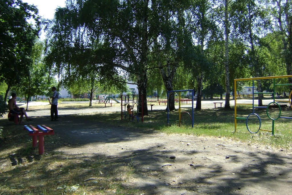 В летнем парке