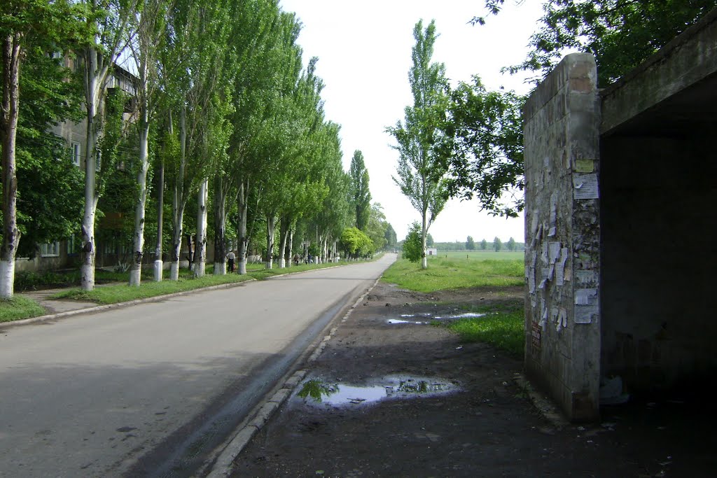 Дорога вокруг микрорайона