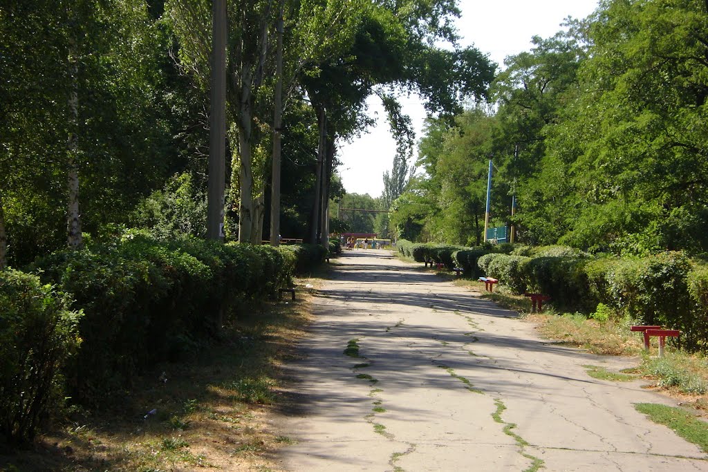Сквозь парк