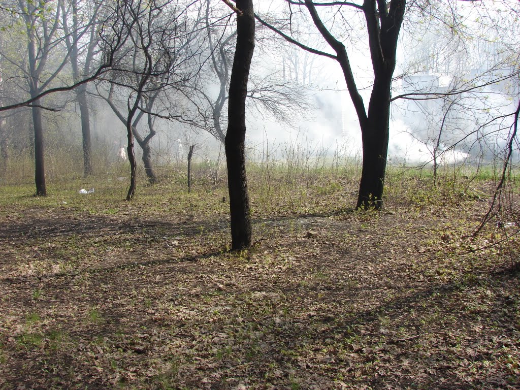 Парк