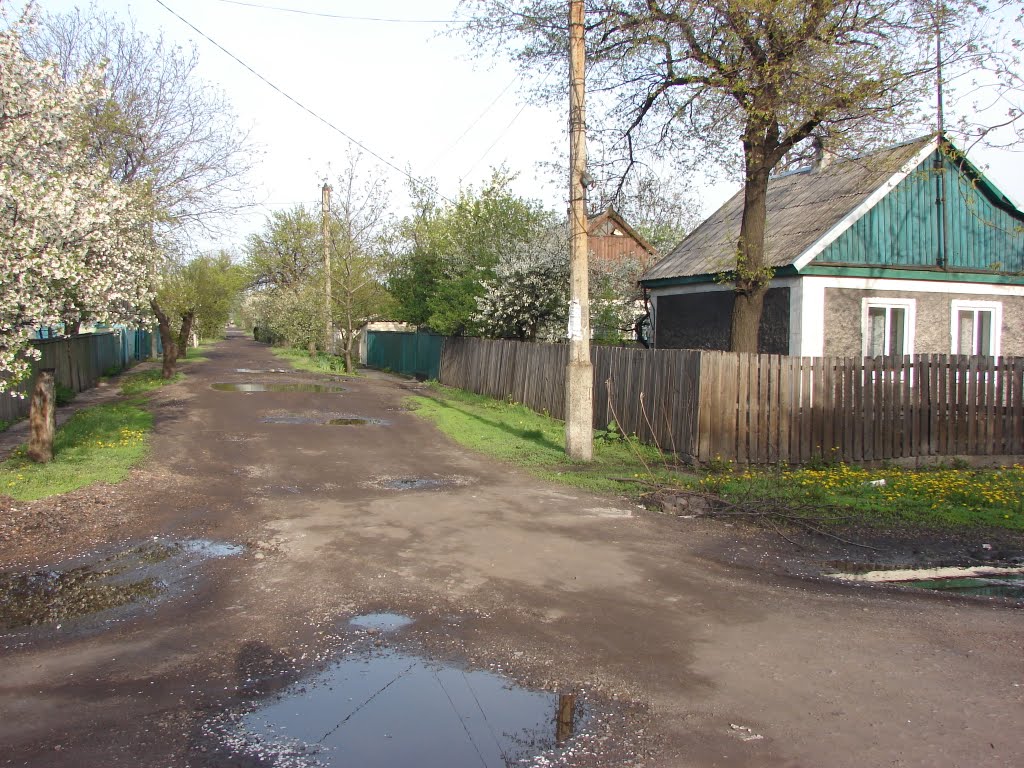 Улица М.И.Кутузова