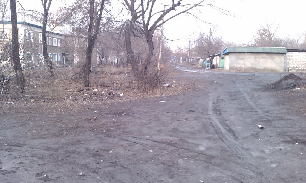 Задворки