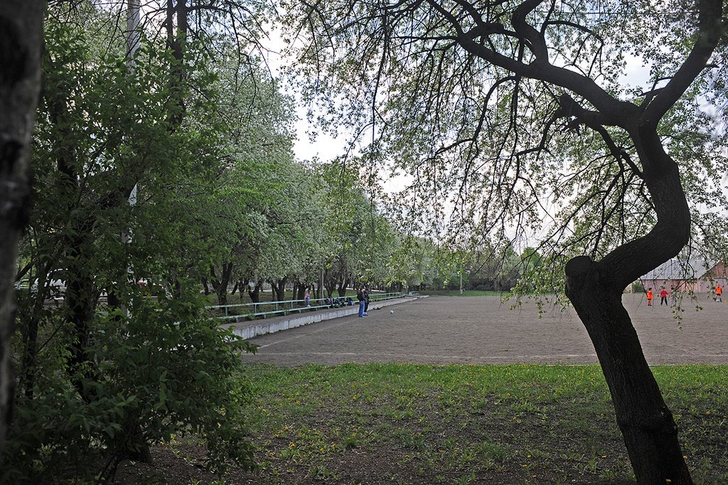 Тренировочное поле