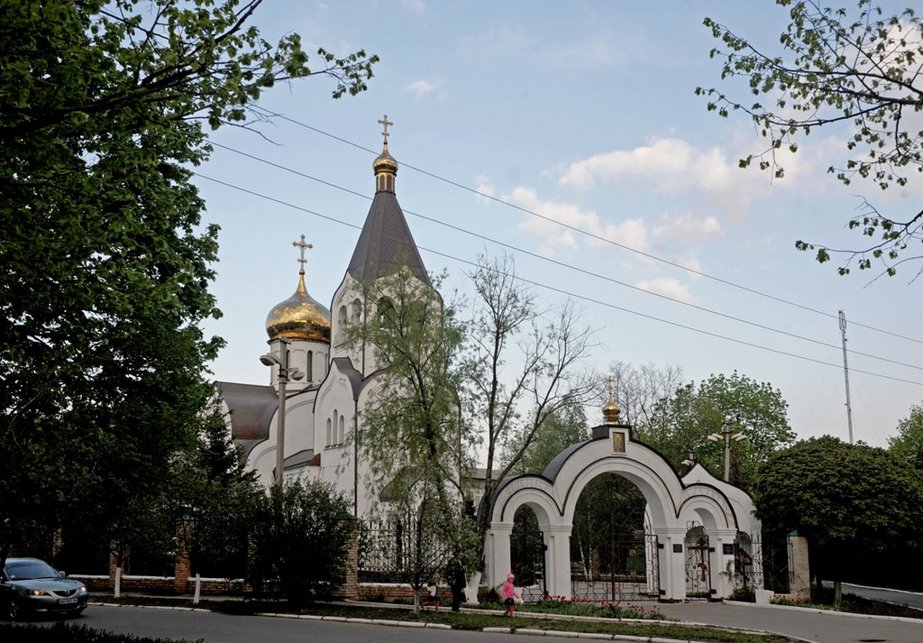 Свято Владимировский Храм