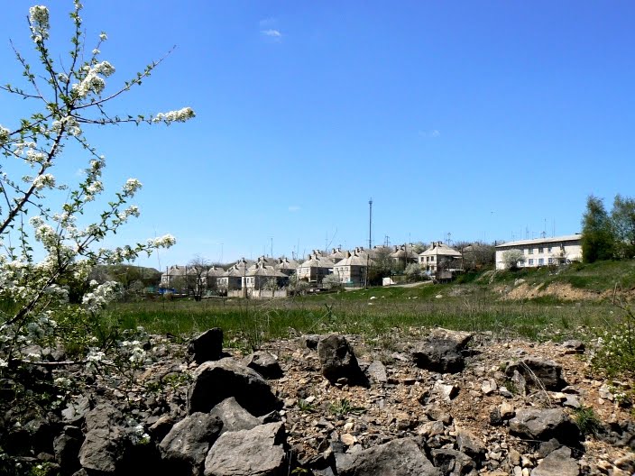 Волгинский посёлок