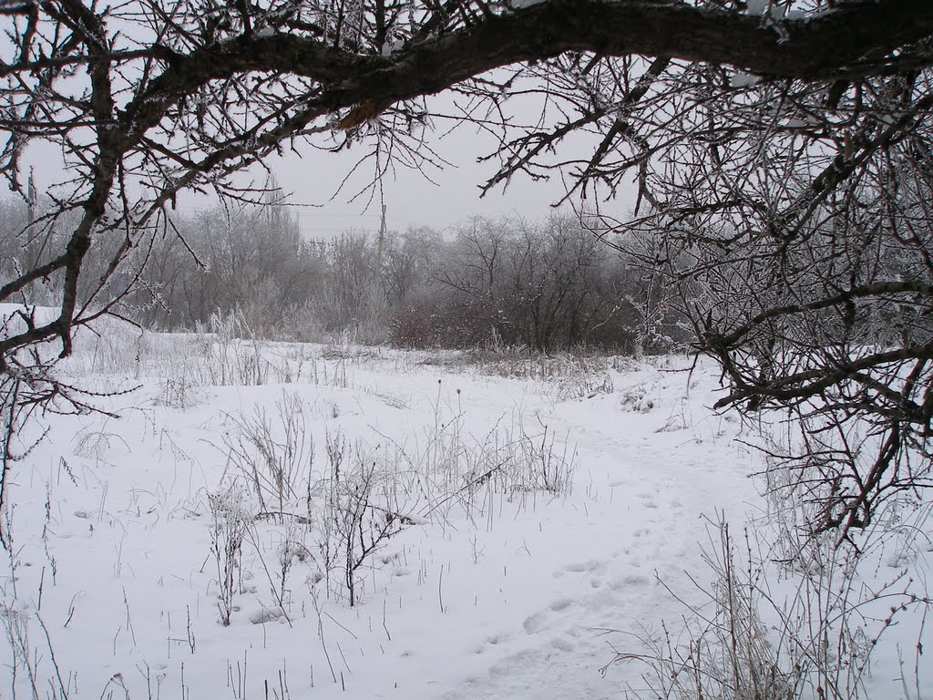 Тропинка к гаражам. январь 2011г