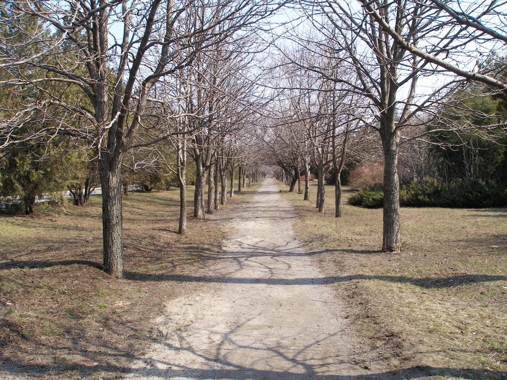 1.04.2011г