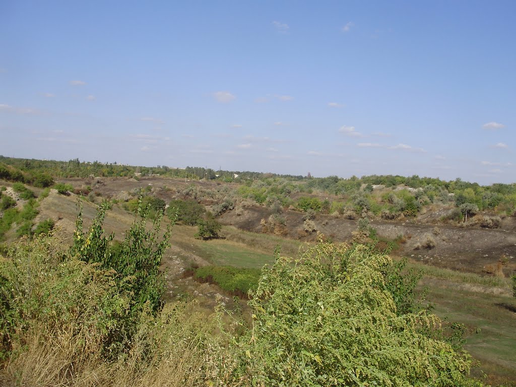 Докучаевск_2011