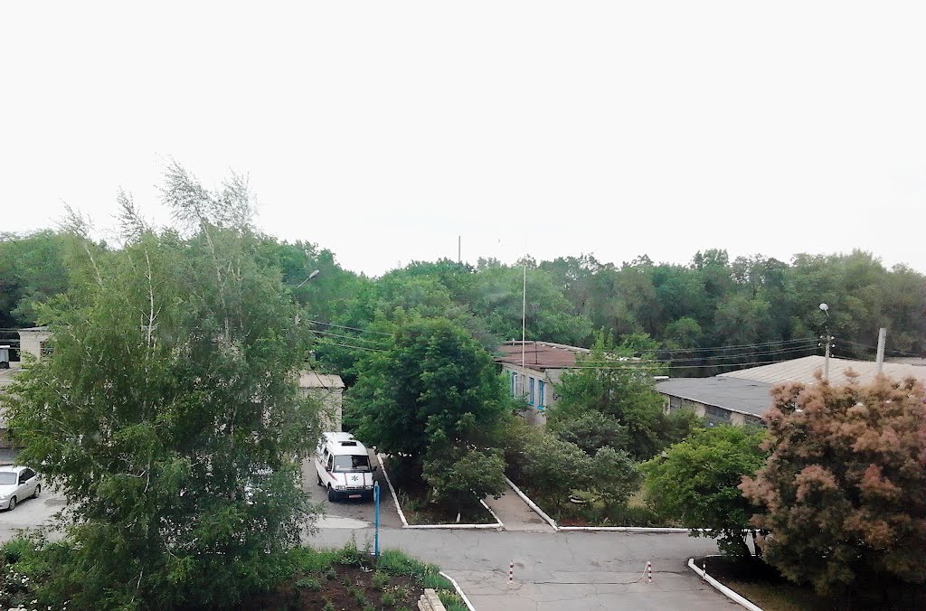 ДЦГБ