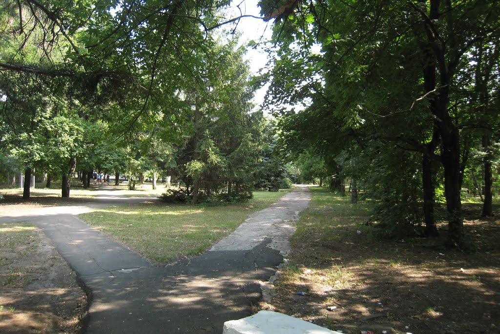 Парк в Докучаевске.The park in Dokuchaevsk.