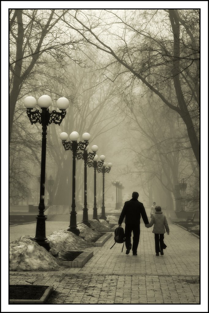 A boulevard in Donetsk