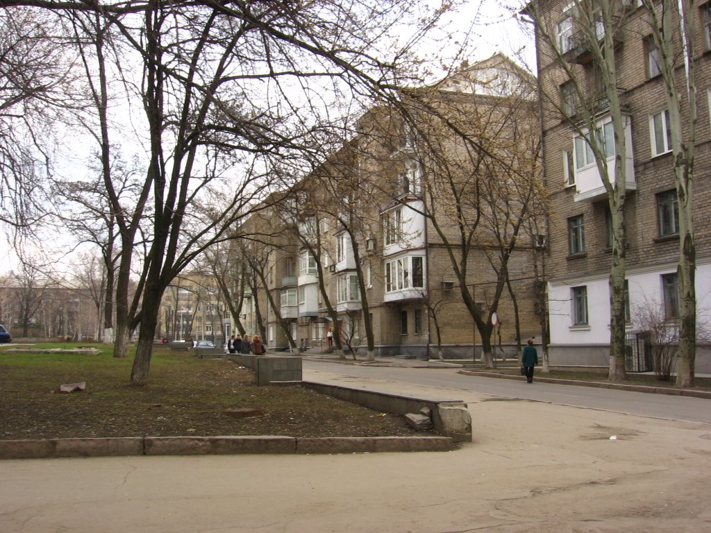 Universitetska street