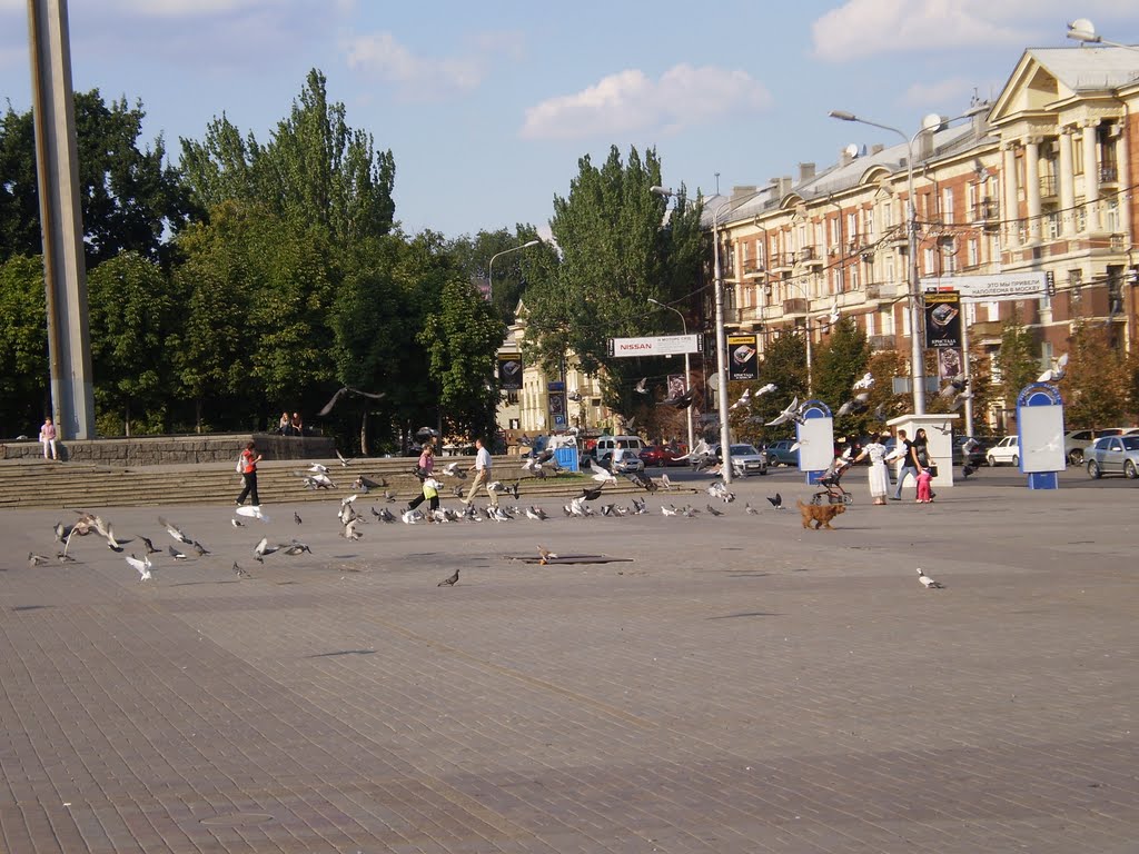 Голуби