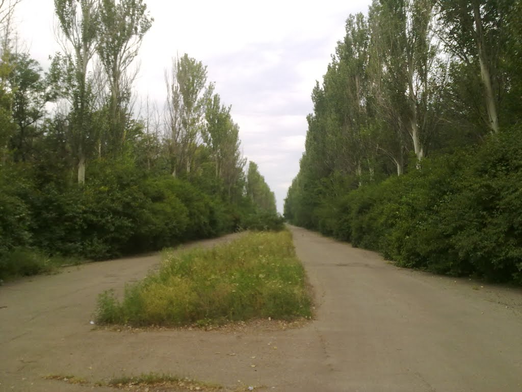 Северный парк 30.07.2011