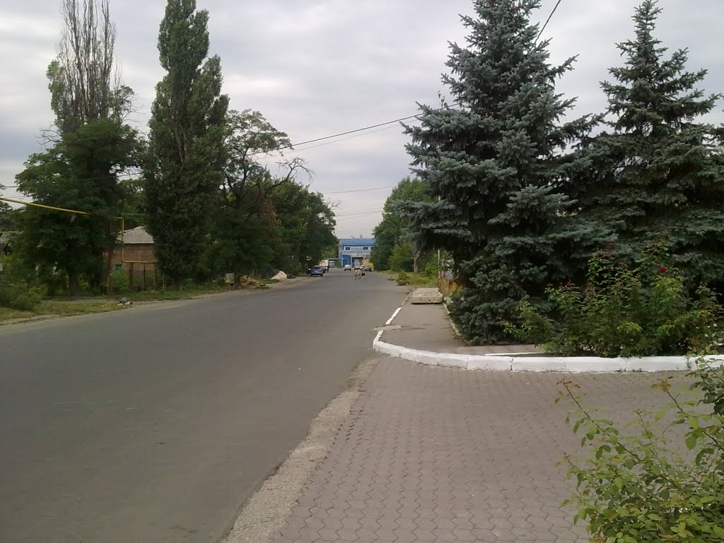 ул. Шевченко 24.08.2011