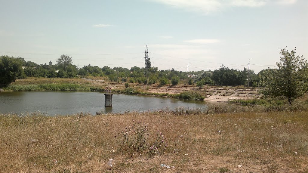 Ставок 4.08.2012