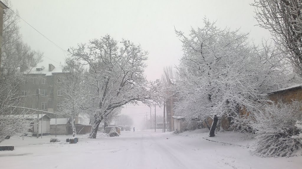 Снег 24.01.2012