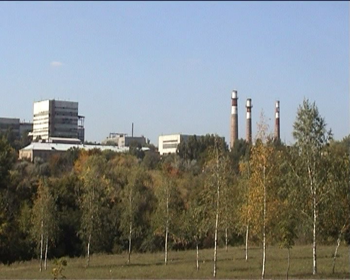 Сад