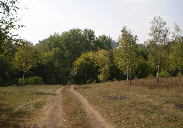 Дорога на работу