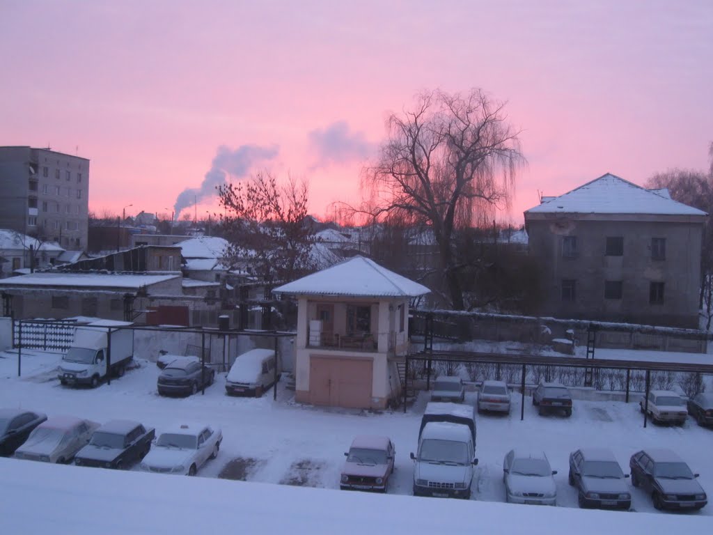 Зимнее утро. 17 января 2011
