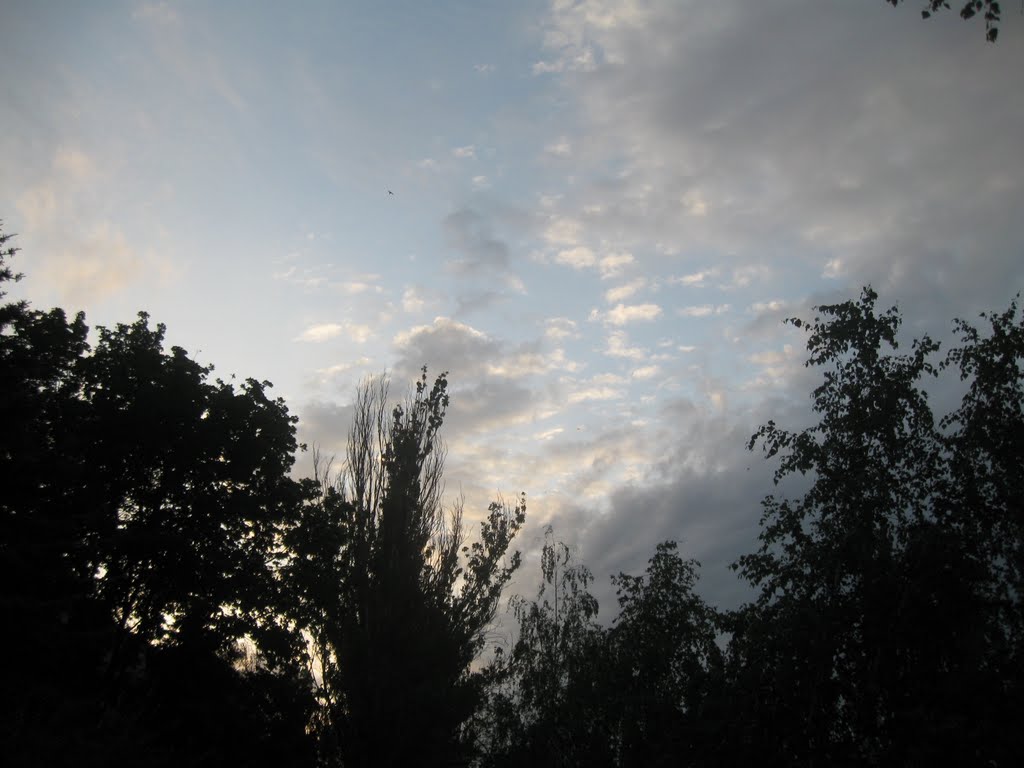 Вечернее небо