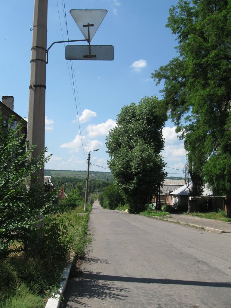 ул. Парижской Коммуны в сторону парка
