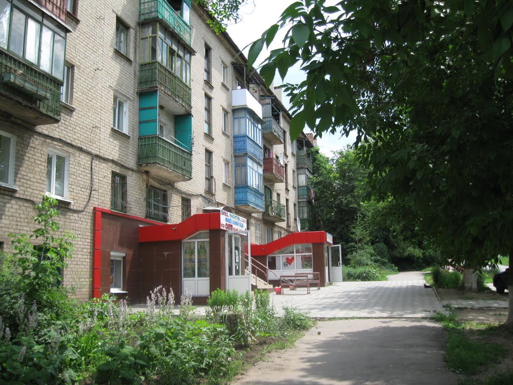 Дом №33 по ул. Ленина